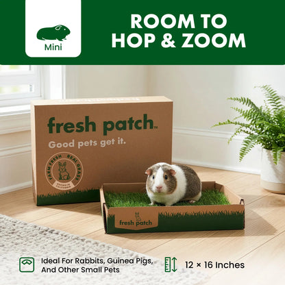 Rabbit Patch - Farm Fresh Grass Pad (Mini)