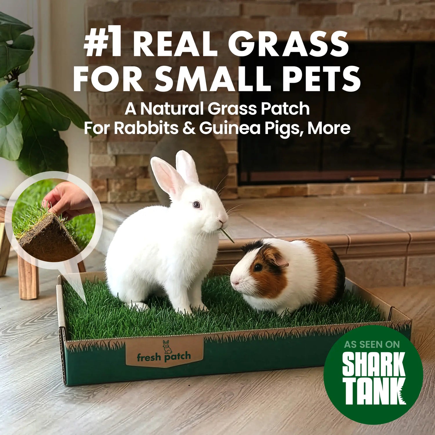 Rabbit Patch - Farm Fresh Grass Pad (Mini)