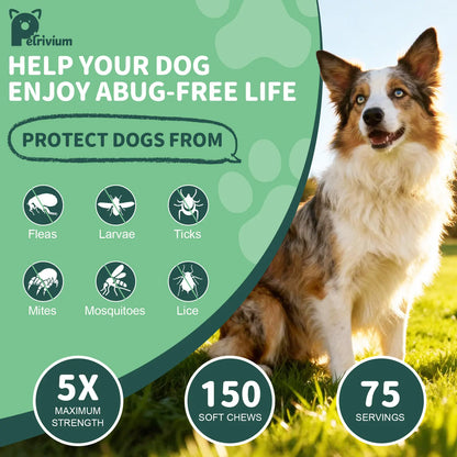 150 Soft Chews for Dogs - Natural Flea & Tick Support - All Breeds & Sizes - Delicious Chicken Flavor