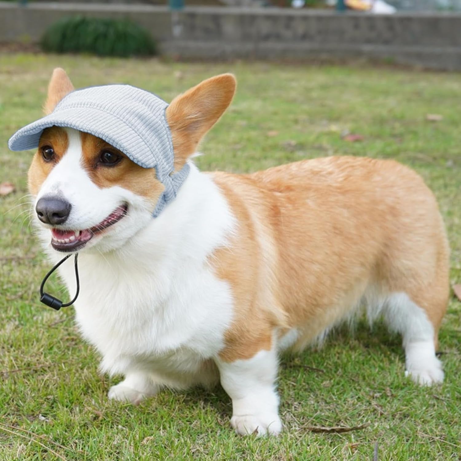 Dog Baseball Cap - Adjustable Summer Visor Hat for Dogs and Cats with Ear Holes (Blue, X-Large)