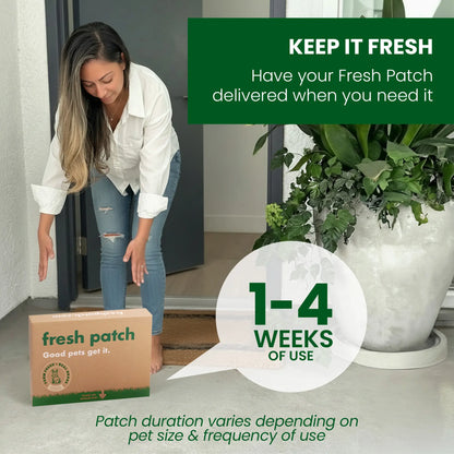 Rabbit Patch - Farm Fresh Grass Pad (Mini)