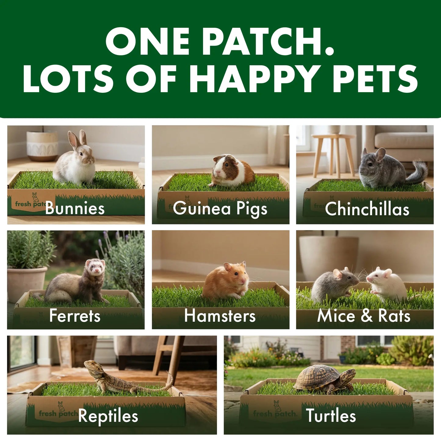 Rabbit Patch - Farm Fresh Grass Pad (Mini)